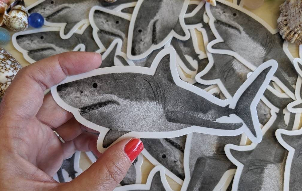Great White Shark Sticker - Great White Shark Decal - Great White Shark Laptop Sticker - Shark Bumper Sticker - Shark Sticker