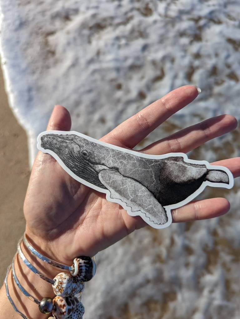 Humpback Whale Sticker - Decal - Laptop Sticker - Bumper Sticker - Ocean Sticker - Dotwork