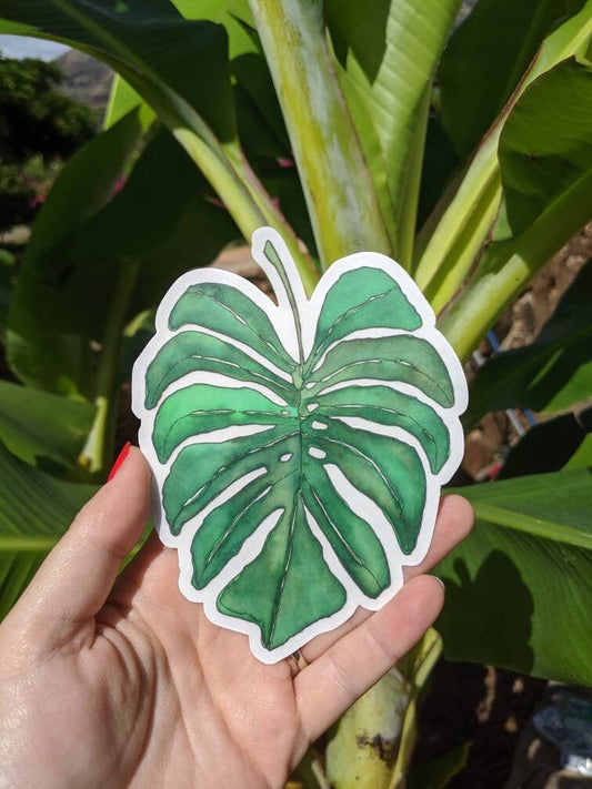 Monstera Sticker - Monstera Decal - Monstera Laptop Sticker - Monstera Bumper Sticker - Tropical Flowers