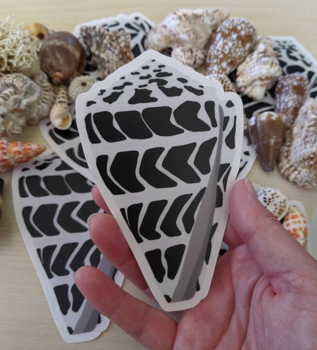 Hawaiian Seashell Sticker - Hebrew Cone Shell - Seashell Laptop Sticker - Seashell Bumper Sticker - Hawaiian Shells