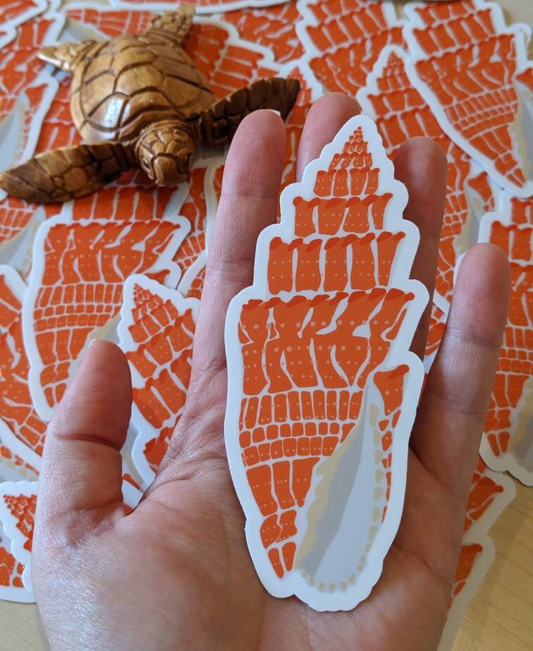 Hawaiian Miter Shell Sticker - Seashell Decal - Seashell Laptop Sticker - Shell Bumper Sticker - Artist Sticker - Miter Shell