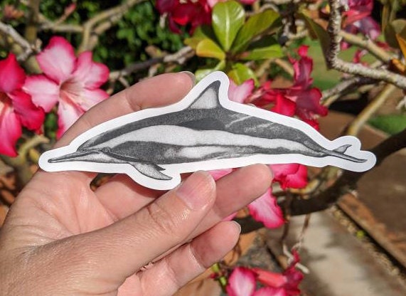 Dolphin Sticker - Dolphin Decal - Dolphin Laptop Sticker - Dolphin Bumper Sticker - Ocean Sticker - Spinner Dolphin - Stipple Art - Stipple