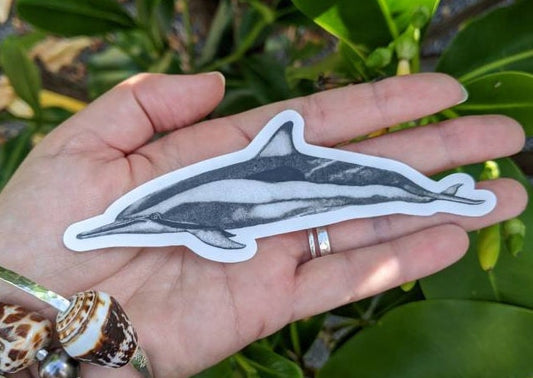 Dolphin Sticker - Dolphin Decal - Dolphin Laptop Sticker - Dolphin Bumper Sticker - Ocean Sticker - Spinner Dolphin - Stipple Art - Stipple