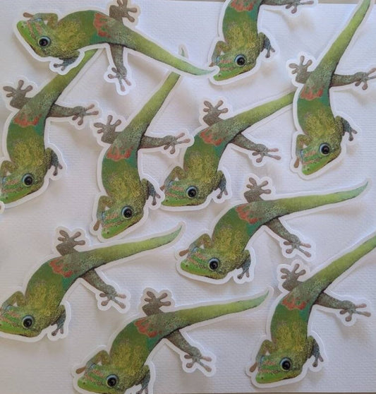 Gecko Sticker - Gecko Decal - Gecko Laptop Sticker - Day Gecko Clear Sticker - Gecko Bumper Sticker - Gecko Art - Tropical